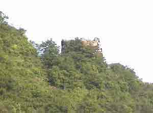 Burg Hammerstein